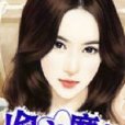 偷心魔女(小說) 偷心魔女(小說)