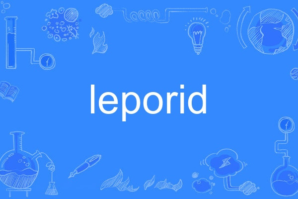 leporid