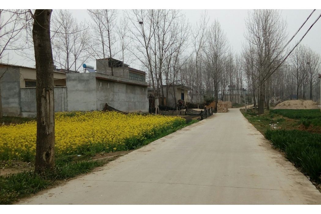 東李村(隸屬於河南省平頂山市葉縣田莊鄉) 東李村(隸屬於河南省平頂山市葉縣田莊鄉)