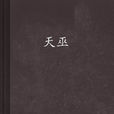 天巫(創世中文網小說,作者九哼) 天巫(創世中文網小說,作者九哼)