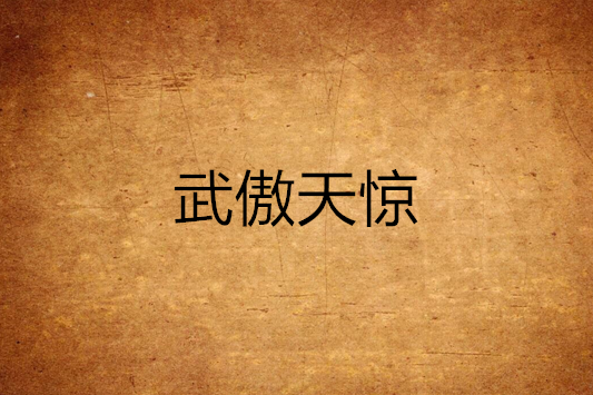 武傲天驚 武傲天驚