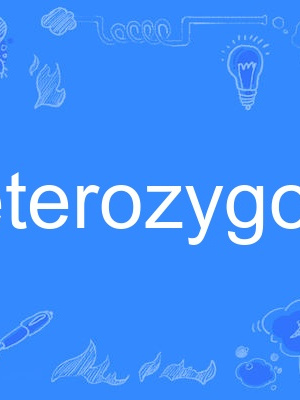 heterozygote heterozygote