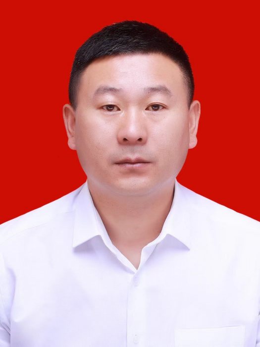 王海峰(甘肅省隴南市武都區池壩鄉黨委書記) 王海峰(甘肅省隴南市武都區池壩鄉黨委書記)