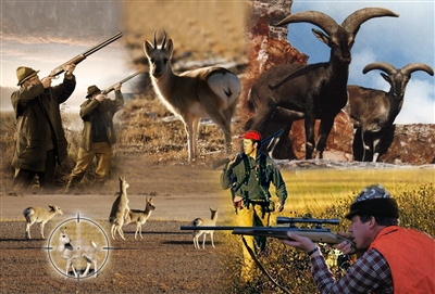 都蘭國際狩獵場