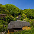 外山村(浙江省衢州市衢江區灰坪鄉外山村) 外山村(浙江省衢州市衢江區灰坪鄉外山村)
