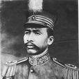 金漢鼎(國民黨陸軍上將) 金漢鼎(國民黨陸軍上將)