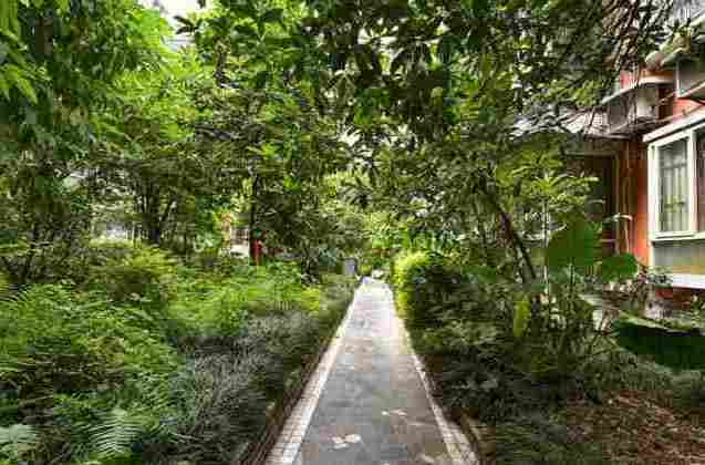 洄龍園 洄龍園