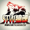 STW狼魂 STW狼魂