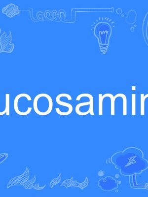 Glucosamine Glucosamine