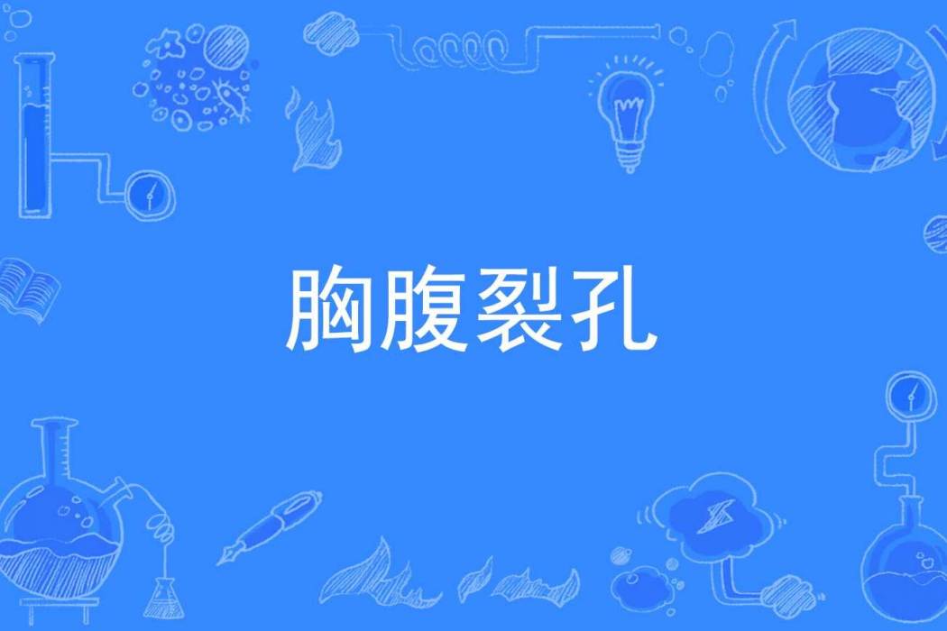 胸腹裂孔 胸腹裂孔