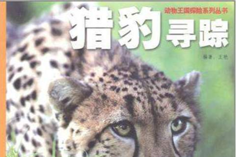 獵豹尋蹤 獵豹尋蹤