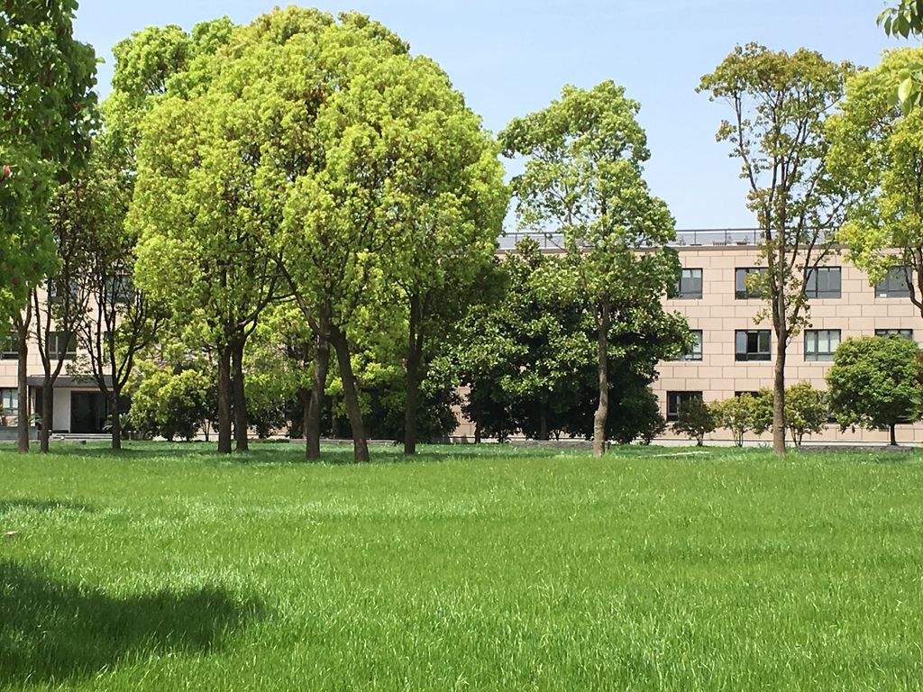 上海興偉學院