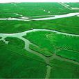 遼寧鴨綠江口濱海濕地國家級自然保護區(鴨綠江口濱海濕地國家級自然保護區)