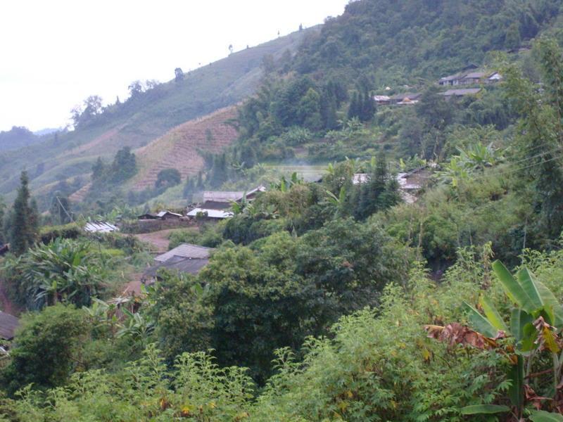 竹魯村 竹魯村