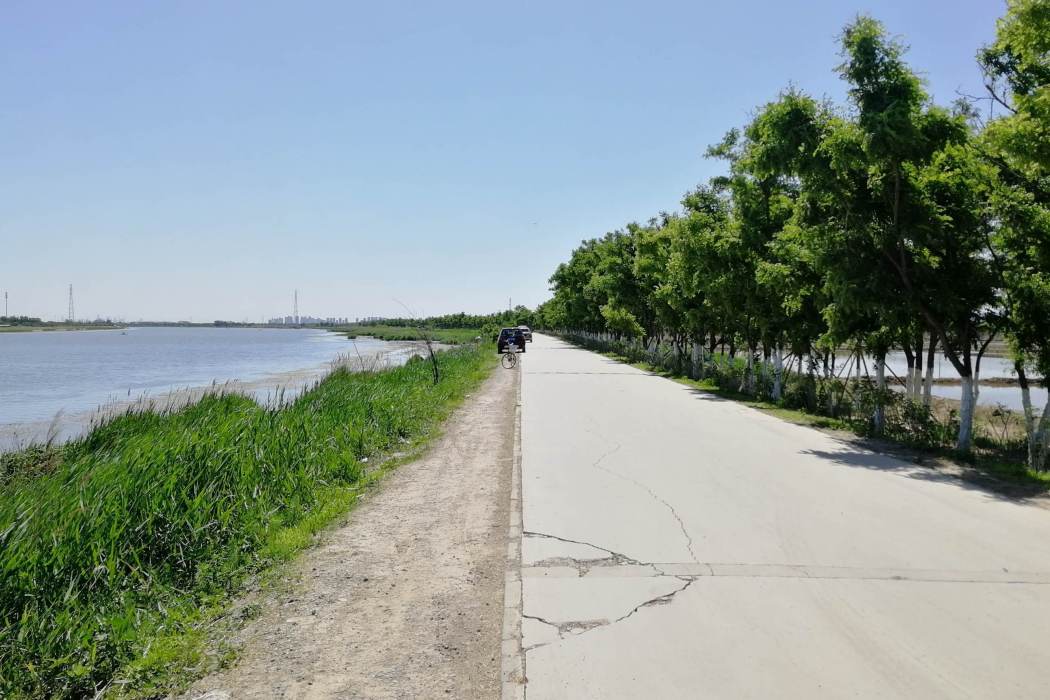 河堤路(南寧市青秀區中山街道河堤路) 河堤路(南寧市青秀區中山街道河堤路)