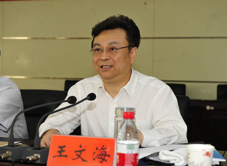 王文海(陝西省延安革命紀念館研究員) 王文海(陝西省延安革命紀念館研究員)
