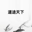 道途天下 道途天下