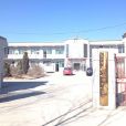 東辛村(山西省朔州市應縣大臨河鄉下轄村) 東辛村(山西省朔州市應縣大臨河鄉下轄村)