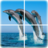 Ocean Puzzle Ocean Puzzle