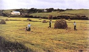 古為克爾特語族地區-愛爾蘭田園