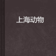 上海動物 上海動物