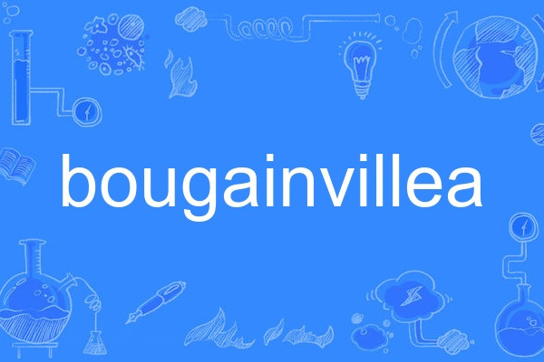 bougainvillea(英語單詞,指葉子花屬植物) bougainvillea(英語單詞,指葉子花屬植物)
