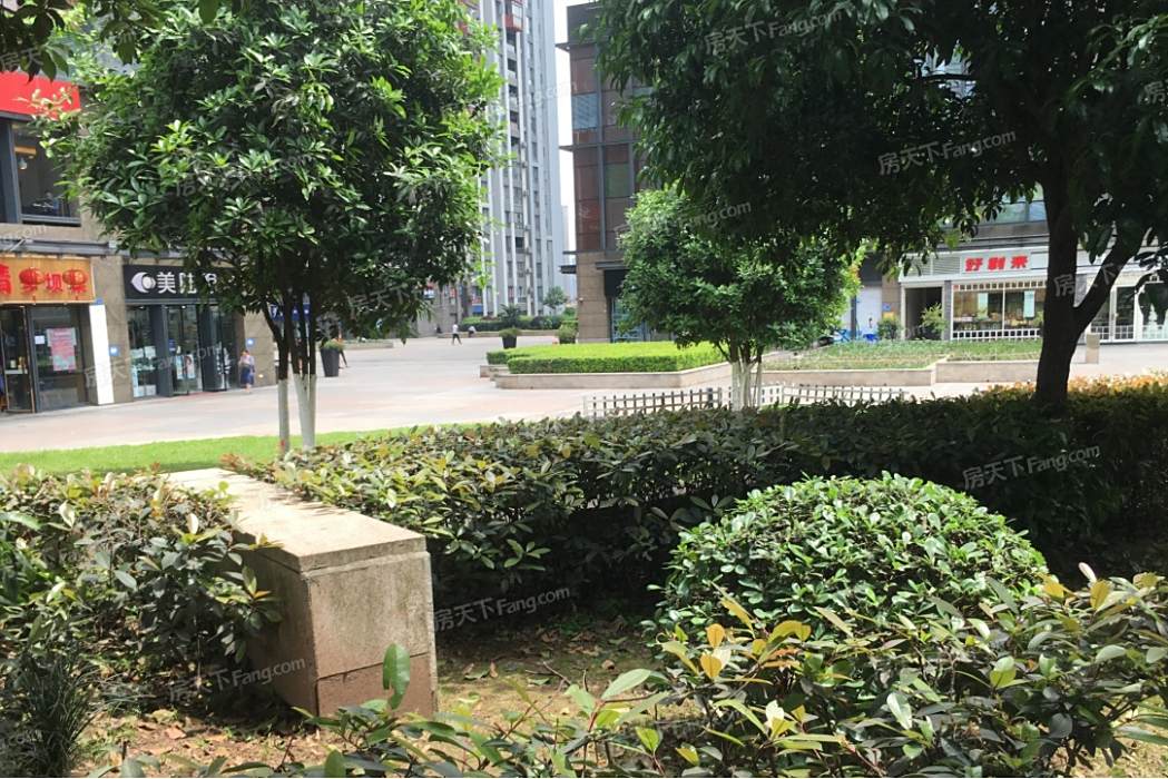 五江路 五江路