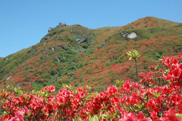 大圍山國家森林公園