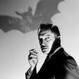 蝙蝠(1959年克萊恩·韋爾伯執導美國電影)
