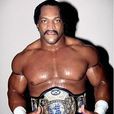 羅恩·西蒙斯(Ron Simmons) 羅恩·西蒙斯(Ron Simmons)