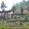 陳義村 陳義村