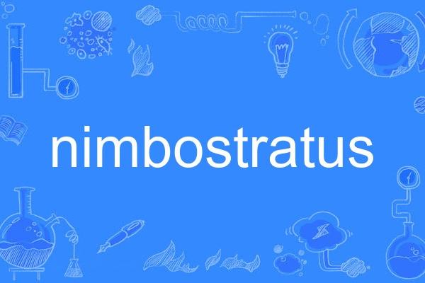 nimbostratus nimbostratus
