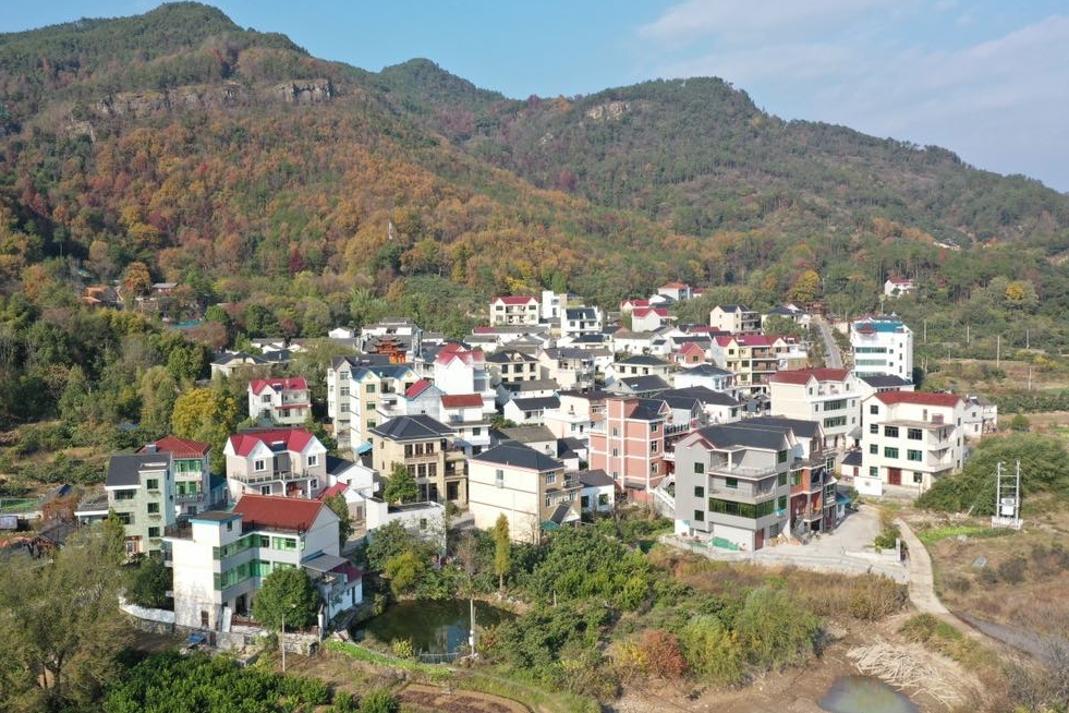 王家村(浙江省金華市蘭谿市黃店鎮下轄村) 王家村(浙江省金華市蘭谿市黃店鎮下轄村)
