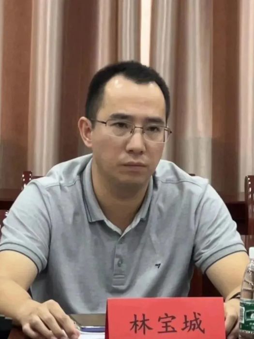 林寶城 林寶城