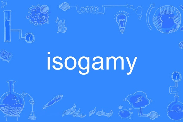 isogamy isogamy