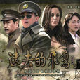 遠去的飛鷹(2011年花箐執導電視劇) 遠去的飛鷹(2011年花箐執導電視劇)