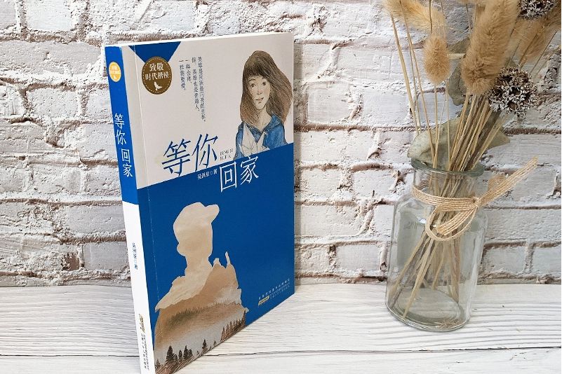 等你回家(2019年安徽少年兒童出版社出版的圖書) 等你回家(2019年安徽少年兒童出版社出版的圖書)