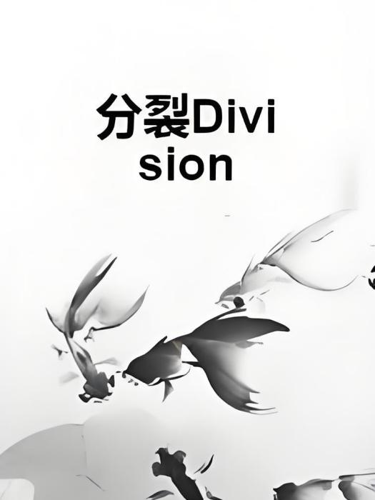 分裂Division 分裂Division