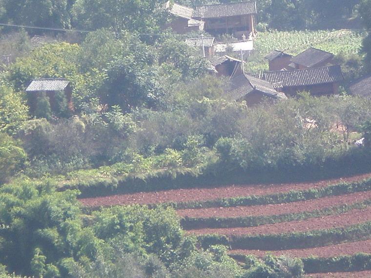 大花地村 大花地村
