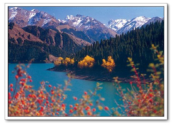新疆天池國家森林公園