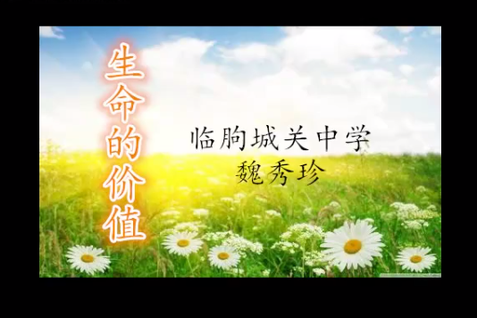 生命的價值2 生命的價值2