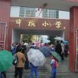 坪梅國小 坪梅國小