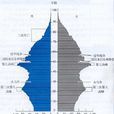 人口金字塔 人口金字塔