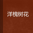 洋槐樹花 洋槐樹花