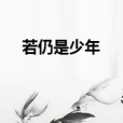 若仍是少年 若仍是少年