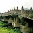 荷湖大橋 荷湖大橋
