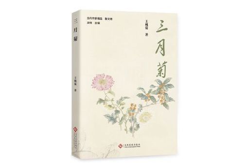 三月菊 三月菊