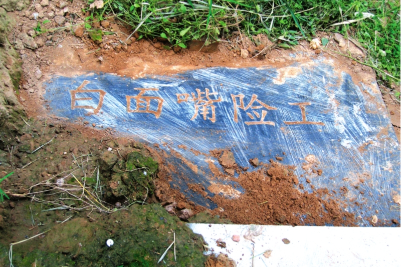 白面嘴 白面嘴