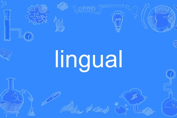 lingual lingual