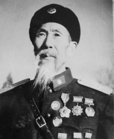 蔣維平(中國人民解放軍醫務工作模範、勞動英雄)